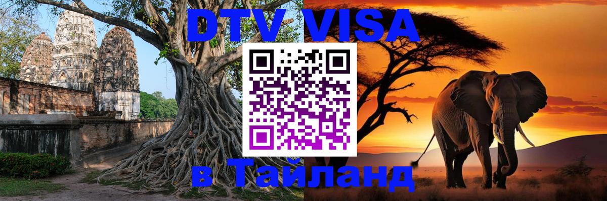 Сколько стоит DTV виза — актуальные цены, оформление даже без документов - 